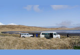 Birding Clam Lagoon - Adak.jpg