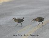Rail crossing.jpg