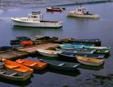 Cape Porpoise Me-3.jpg