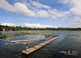 Bunot Lake D300_26494 copy.jpg