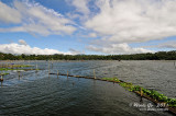 Bunot Lake D300_26498 copy.jpg