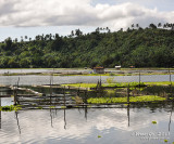 Palakpakin Lake D700_15248 copy.jpg