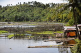 Palakpakin Lake D700_15287 copy.jpg