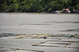 Sampaloc Lake D700_15385 copy.jpg