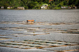Sampaloc Lake D700_15417 copy.jpg