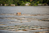 Sampaloc Lake D700_15417 copy.jpg