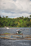 Sampaloc Lake D700_15429 copy.jpg