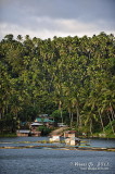 Yambo Lake D700_15466 copy.jpg