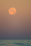 Florida Wildlife Magazine, Back Cover Photo