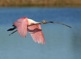 Fly softly and carry...