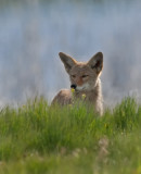 DSC_5682a.jpg