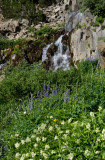 _DSC3173a.jpg