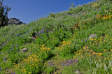 _DSC3221b.jpg