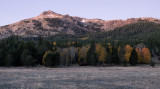 _DSC4541a.jpg