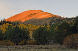 _DSC4861a.jpg