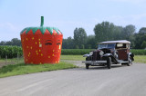 Fruit du hasard