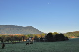 chateau de Thanville - 2011