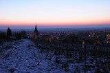 Vignes  Barr