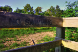 Texas Summer 2 2011