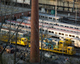 DSC01649.jpg