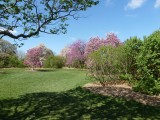 University of Wisconsin-Madison - GALLERY