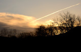 Trails