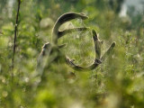  What A Tangled Web We Weave......