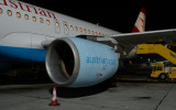 D4H_1869-900.jpg