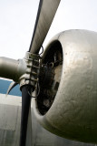 D8H_3281-900.jpg