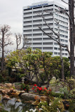 Japanese Garden Behind the Kyoto Grand Hotel, Los Angeles