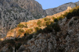 DSC_0479.jpg