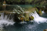 DSC_5959.jpg