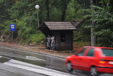 DSC_6084.jpg