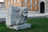 DSC_6229.jpg