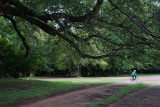 DSC02801.jpg