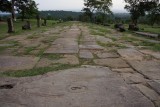 DSC00593.jpg