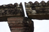 DSC00599.jpg