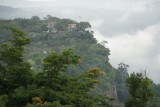 DSC00623.jpg