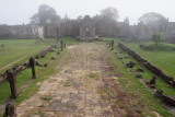 DSC00717.jpg