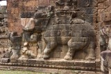 Elephant Terrace