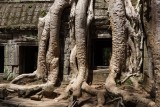 Ta Prohm