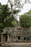 Ta Prohm