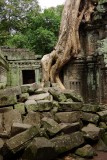 Ta Prohm