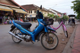 DSC00434.jpg