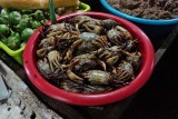 DSC03074.jpg