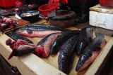 DSC03080.jpg