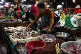 DSC03084.jpg