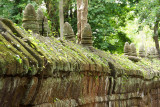 DSC00528.jpg
