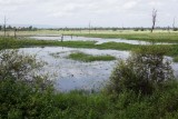 DSC00830.jpg
