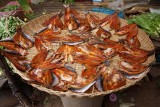 DSC00520.jpg